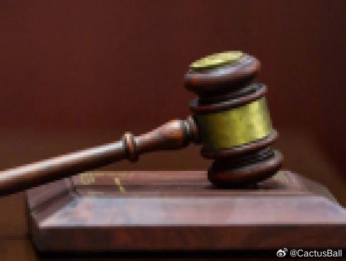 前FTX高管妻子痛斥政府诱导认罪，揭示背后的真相与权力的博弈