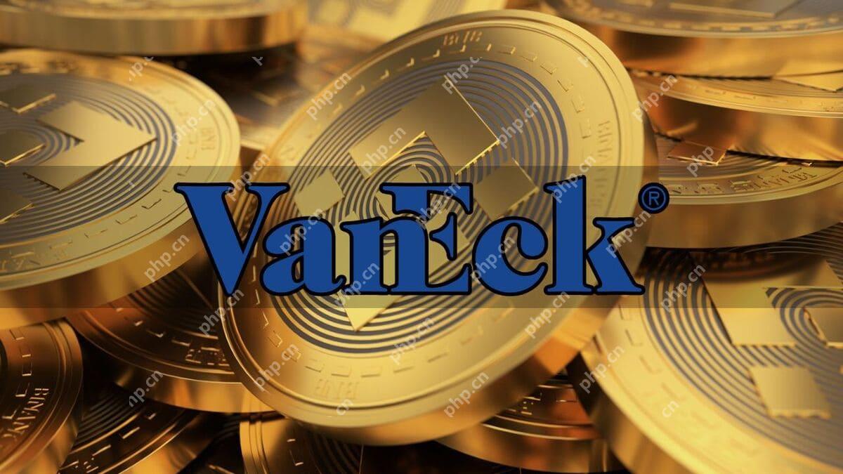 VanEck申请上市美国首个BNB ETF，重塑金融市场的重磅之举