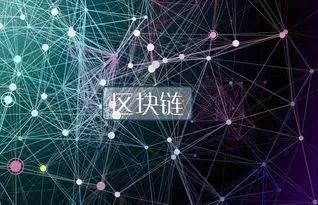 俄罗斯央行与财政部携手推出加密货币交易所，重塑数字货币格局