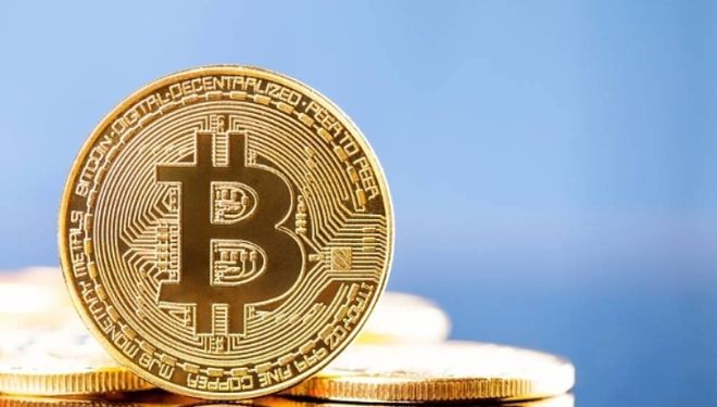 随着ETF决策临近，狗狗币持有者热烈庆祝4月20日狗狗日