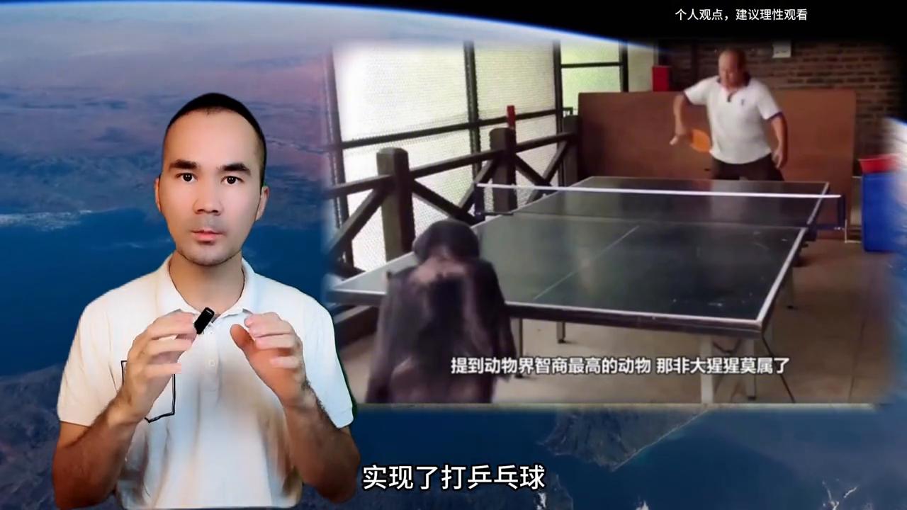 OpenAI研发新社交网络，与马斯克旗下X平台展开科技巨头较量