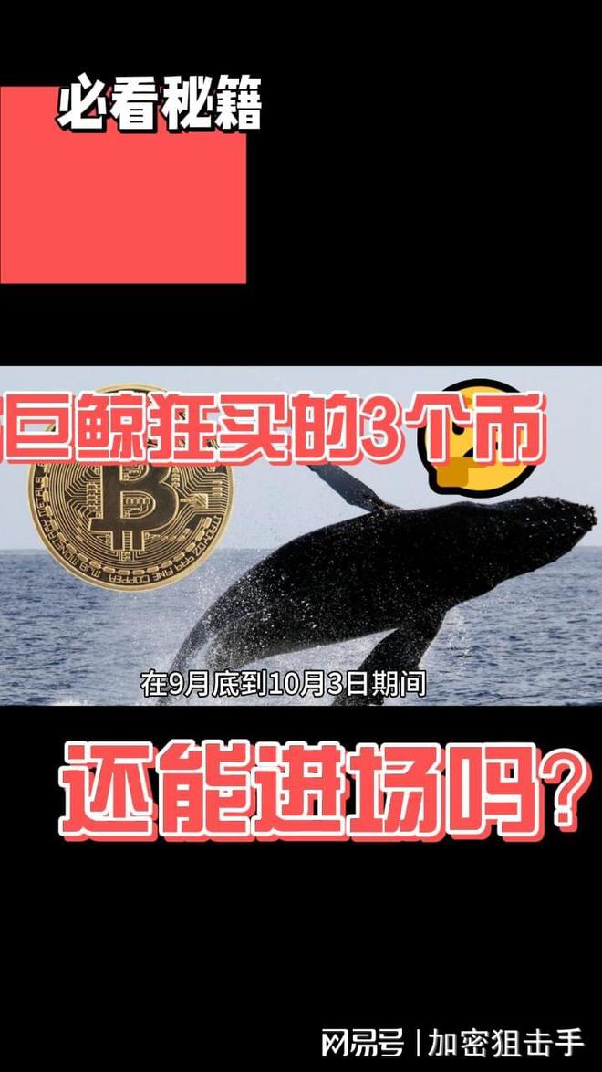 索拉纳巨鲸行动，巨额质押解锁后的SOL抛售风波