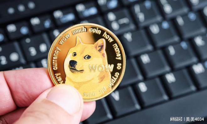 TRUMP、DOGE、BONK与ETF的博弈，金融新纪元下的重新定义——为何Cathie Wood不会投资