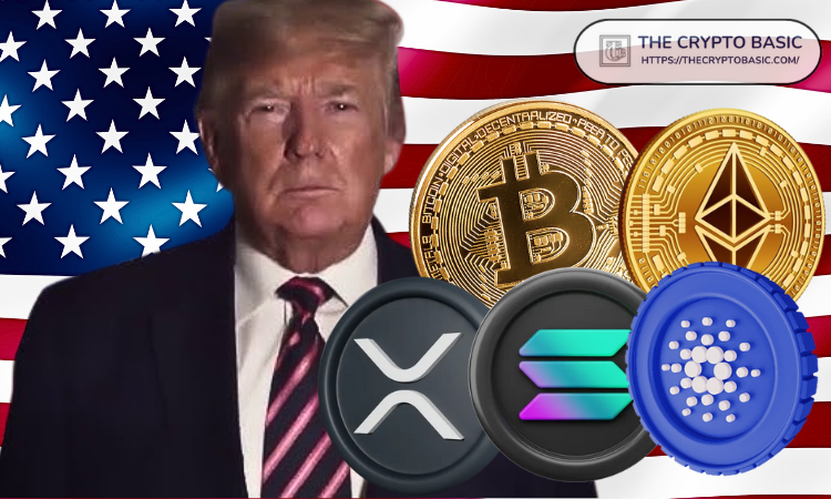 特朗普再次聚焦加密储备战略，币圈反弹与BitMEX联合创始人的观察