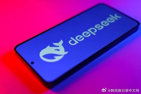韩国因用户数据问题暂停下载 DeepSeek，探究背后的原因与挑战