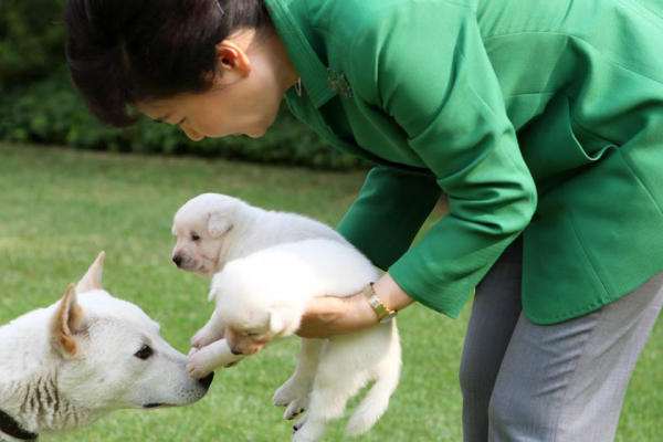 CZ爱犬名字引发西兰花迷因币市狂潮
