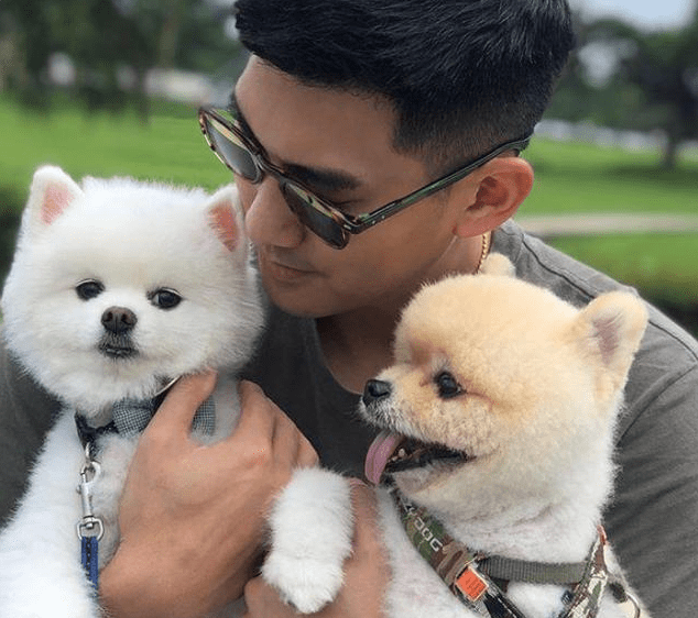 CZ爱犬名字引发西兰花迷因币市场疯狂热潮