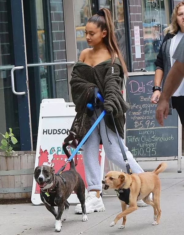 CZ爱犬名字引发西兰花迷因币市场疯狂热潮