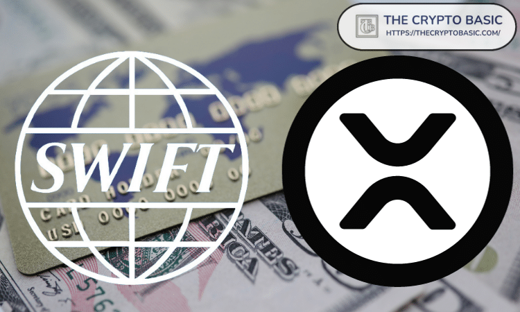 Bitwise首席投资官深度剖析，加密货币市场中散户与专业投资者之间的巨大断层