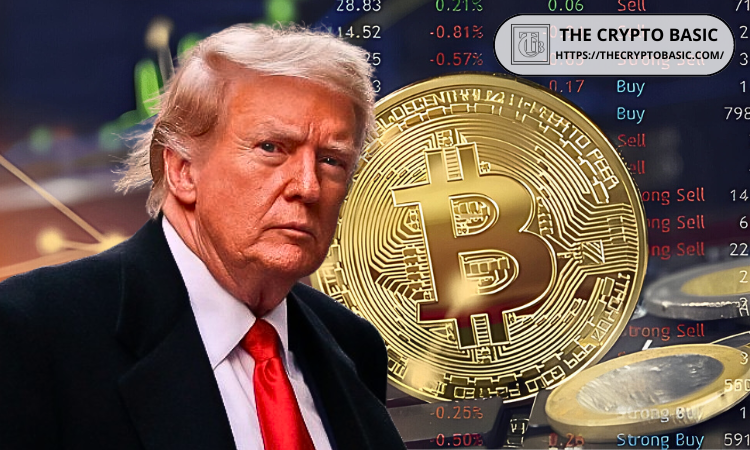 Bitwise高管预测，特朗普大选的获胜可能为比特币带来飞跃，价格可能触及9.2万美元大关