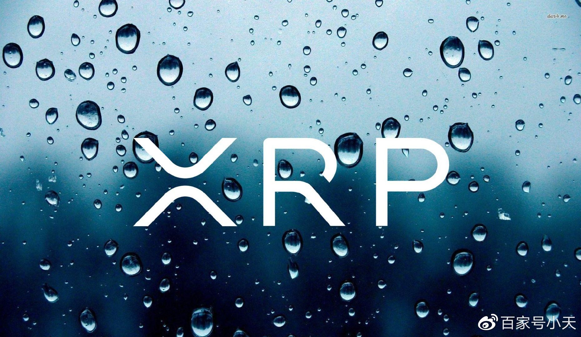 美国证券交易委员会对瑞波公司上诉未动摇XRP非证券地位