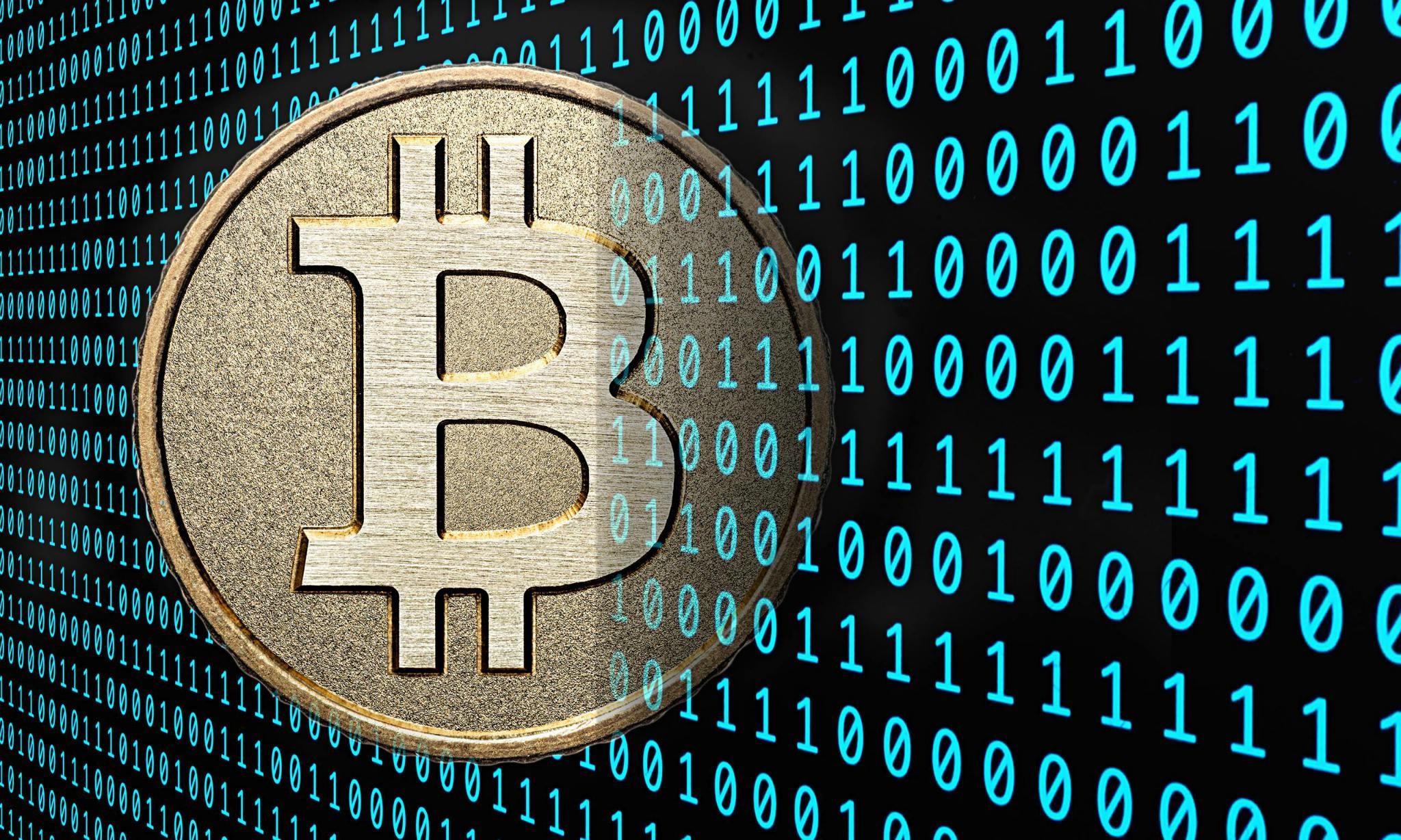 比特币与Memecoin搜索量背后的市场趋势与原因深度探究，新动向揭示新机遇？