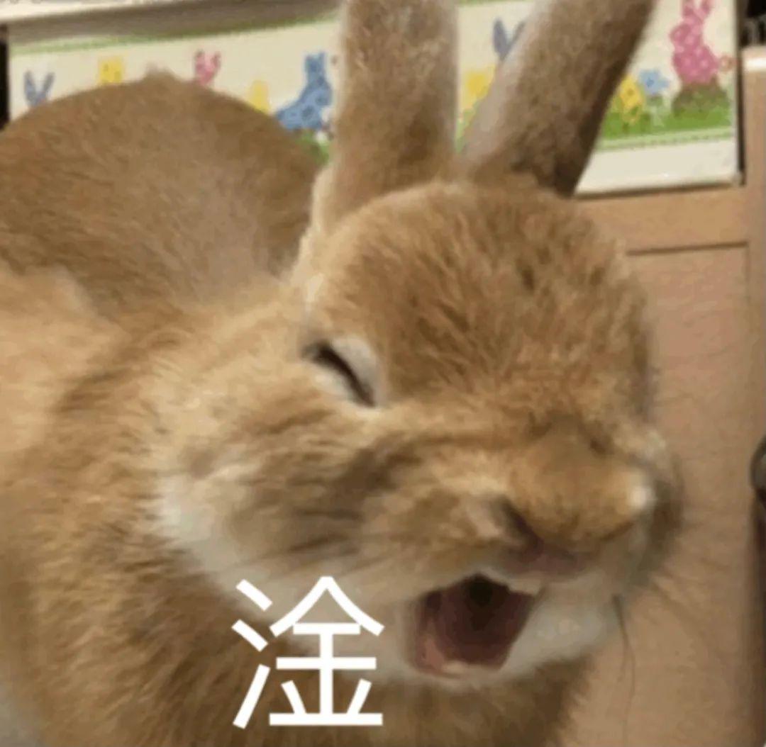加密货币选民都希望两党支持加密货币，未来政策走向的探讨