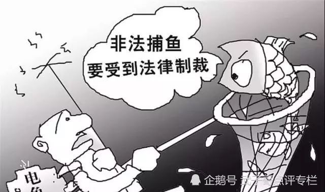 Pink Drainer地址投毒骗局，因果报应下的悲剧