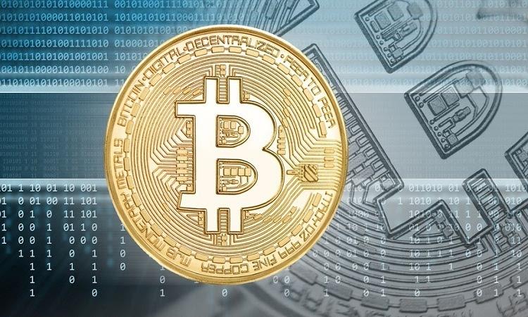 雨林基金会，美国非政府组织计划建立比特币战略保护区